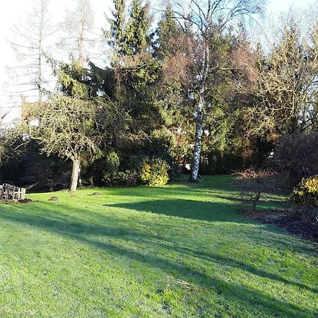 Ferienwohnung An Der Almequelle Brilon Dış mekan fotoğraf